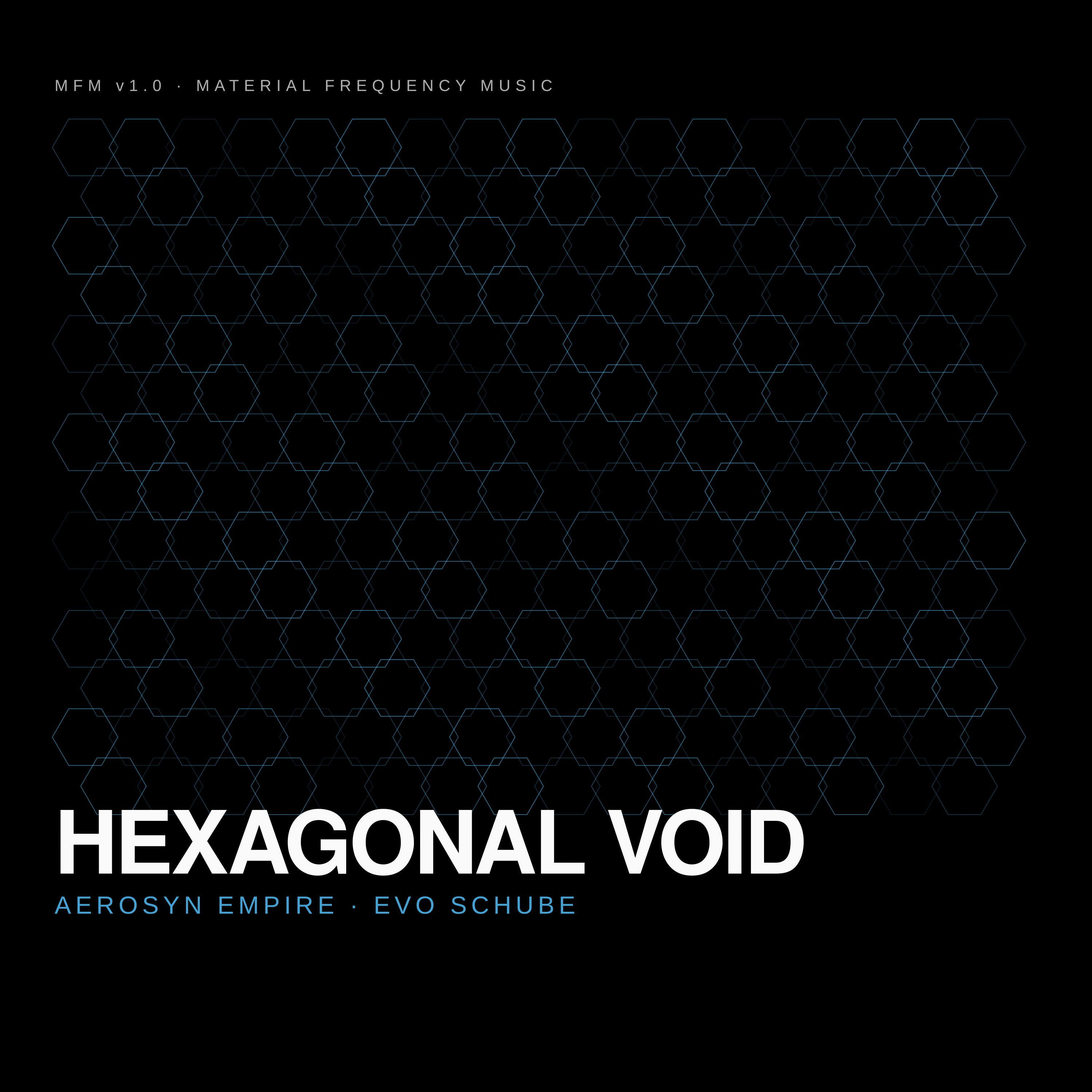 Hexagonal Void cover